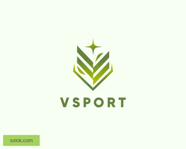 介绍VSport